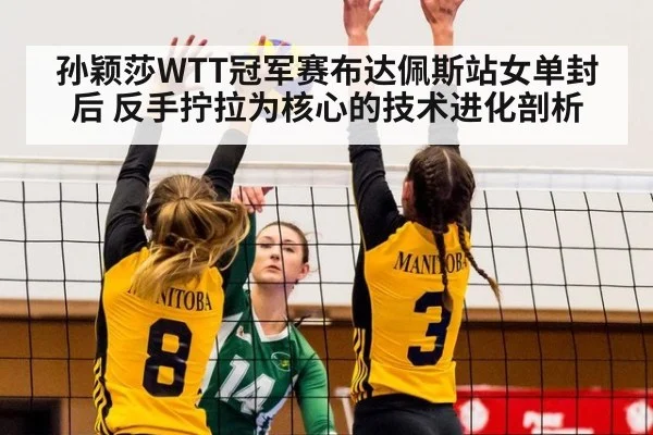 孙颖莎WTT冠军赛布达佩斯站女单封后 反手拧拉为核心的技术进化剖析